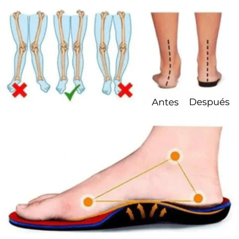 TENIS CABALLERO DYNAMIC PRO